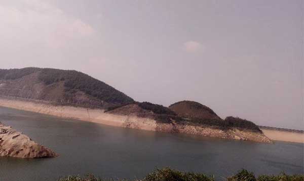 黑麋峰峰頂 綠樹蔥蔥，空氣都是甜的